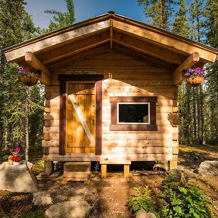 Blackburn Cabins - McCarthy, Alaska Exteriör bild