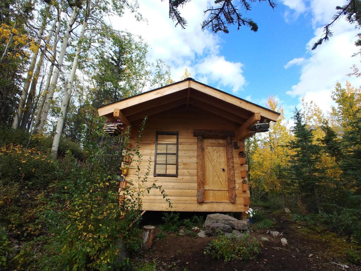 Blackburn Cabins - McCarthy, Alaska Exteriör bild