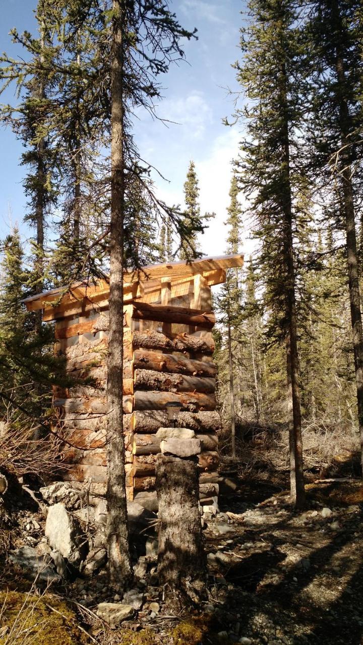 Blackburn Cabins - McCarthy, Alaska Exteriör bild