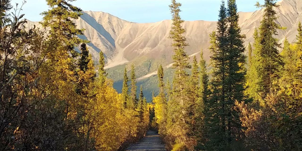Blackburn Cabins - McCarthy, Alaska Exteriör bild